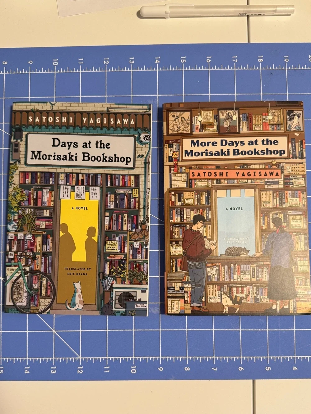 Bundle of two books by Satoshi Yagisawa